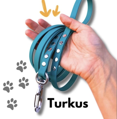 Linka treningowa dla psa PVC wodoodporna 20 mm