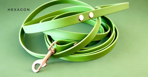 Linka treningowa dla psa PVC wodoodporna 13 mm